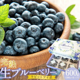 【ふるさと納税】 農家直送 完熟生ブルーベリー ラビットアイ系 600g 100g×6パック 2026年発送 土佐ひらやま農園 ブルーベリー フルーツ 果物 くだもの 食品 人気 おすすめ 送料無料