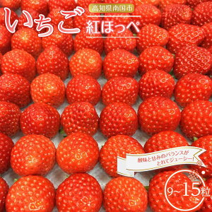 yӂ邳Ɣ[Łz s\  gق i 1i1pbNF9`15j 2026N1Jn |  I  ґ 蕨 Mtg v[g     ʕ 
