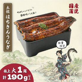 【ふるさと納税】 限定 国産 鰻 大 土佐はちきん うなぎ 蒲焼き 190g以上 | 蒲焼 無投薬 上 特上 肉厚 鰻 ウナギ かば焼き きざみ ひつまぶし めす 柔らかい ふっくら 極太 極上 生産者直送 限定 こだわり ギフト 冷凍 高知県 南国市