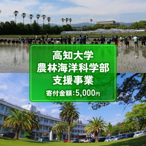 【ふるさと納税】 返礼品なし 5,000円 高知大学 農林海洋科学部 支援事業(教育・研究・地域貢献を支える寄附) | 実習・フィールドワーク支援 研究支援 地域貢献活動支援 人材育成 高知県 南
