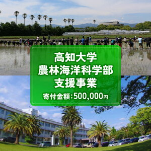 【ふるさと納税】 返礼品なし 500,000円 高知大学 農林海洋科学部 支援事業(教育・研究・地域貢献を支える寄附) | 実習・フィールドワーク支援 研究支援 地域貢献活動支援 人材育成 高知県 南