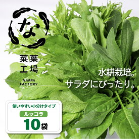 【ふるさと納税】 葉野菜 サラダ ルッコラ | ほうれんそう ホウレンソウ 水菜 ミズナ 生食 野菜 セット 新鮮 健康 人気 おすすめ 高知県 南国市