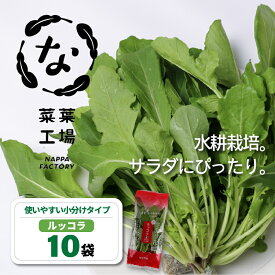 【ふるさと納税】 葉野菜 サラダ ルッコラ | ほうれんそう ホウレンソウ 水菜 ミズナ 生食 野菜 セット 新鮮 健康 人気 おすすめ 高知県 南国市