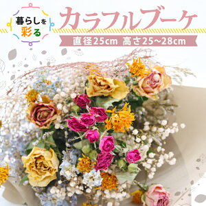 yӂ邳Ɣ[Łz hCt[u[P ԑ u[P XbO   Mtg nhCh  C j AW m 썑s