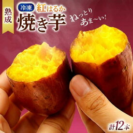 【ふるさと納税】 焼き芋 サツマイモ 焼いも やきいも 焼芋 紅はるか 選べる 6本 ～ 24本 いも 芋 おやつ お菓子 食物繊維 天ぷら 冷凍 高知県 南国市
