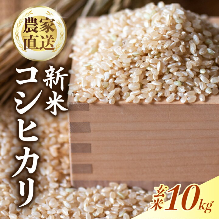 楽天市場】【ふるさと納税】 コシヒカリ 玄米 米 お米 コメ 10キロ 