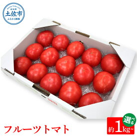 【ふるさと納税】フルーツトマト トマト とまと ふるーつとまと 1kg 2kg 3kg 糖度 8～10度 詰め合わせ 野菜 産地直送 甘い 濃厚 美味しい 箱詰め まとめ買い 料理 サラダ 旬 新鮮 食品 健康 高知県 土佐市 返礼品 故郷納税 返礼品 8000円 12000円 16000円