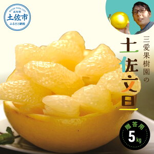 yӂ邳Ɣ[Łzys\zOʎ̓yU p5kg 2`3 ݂ k U Ԃ񂽂 u^ ʕ t[c    Mtg 蕨 ̋[ 