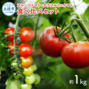 yӂ邳Ɣ[Łzt[cg}gHׂ׃Zbg 1kg g}g t[cg}g x ~jg}g lߍ킹 Zbg VN ӂ[Ƃ܂ t[c~jg}g Jt g}g Ƃ܂ 