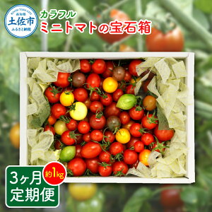 yӂ邳Ɣ[ŁzJt~jg}g̕Δ 1L 3 1kg g}g Ƃ܂ lߍ킹 Zbg 15iȏ   T_ }l pX^ Ђ  ٓ Ö _ VN 