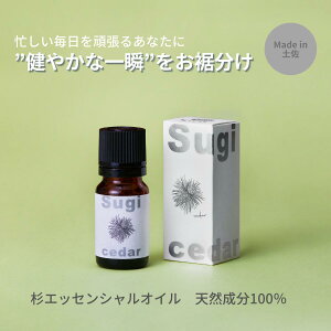 yӂ邳Ɣ[ŁzyMICILi~VjzmY؍ނgVR100̐GbZVIC 8ml@ A}  bNX 1{ ̂߂ɏՍ  14000~
