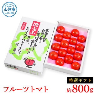 yӂ邳Ɣ[Łz2026N1{蔭t[cg}g IMtg800g g}g t[cg}g x rg}g x10xȏ x mY Yn Mtg  p 蕨 N