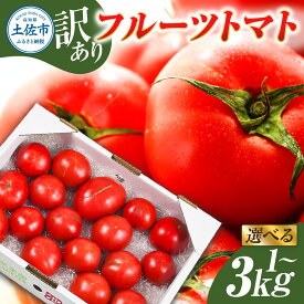 【ふるさと納税】訳あり フルーツトマト 1kg～3kg /トマト 糖度 8度以上 不揃い 傷 規格外 とまと ふるーつとまと 国産 選べる内容量 1kg 2kg 3kg 完熟 濃厚 野菜 サラダ パスタ ソース 新鮮 返礼品台 高知県【池トマト】