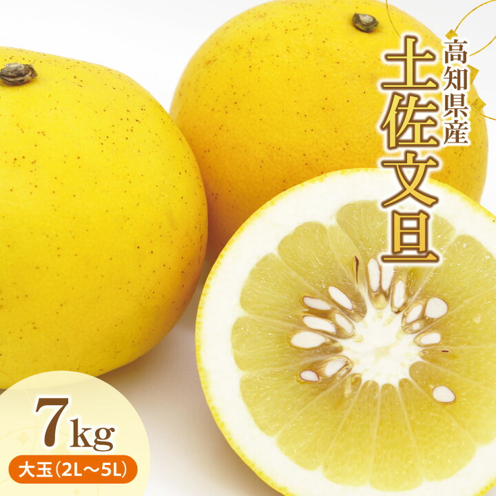 楽天市場】【ふるさと納税】土佐文旦（ぶんたん）（大玉：2L～5L 