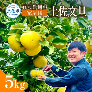 yӂ邳Ɣ[ŁzΌ_̓yU ƒp 5Li7`12ʁj Ԍ s\ yU U 5kg u^ Ԃ񂽂 ʕ k t[c mY ysY ƒp    