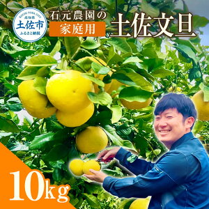 yӂ邳Ɣ[ŁzU ƒp@10Li14`22ʁj Ԍ s\ yU U 10kg u^ Ԃ񂽂 ʕ k t[c mY ysY ƒp     ӂ