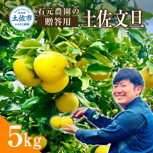 yӂ邳Ɣ[ŁzU p 5Li7`12ʁj Ԍ s\ yU U 5kg u^ Ԃ񂽂 ʕ k t[c mY ysY 񂹃O Mtg  蕨 