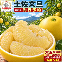 楽天市場】文旦 20kg 送料無料の通販