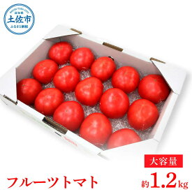 【ふるさと納税】【先行予約】お徳用フルーツトマトLサイズ 1.2kg・約15玉・Lサイズ〈2027年1月上旬〜6月上旬〉 / 糖度8度以上 フルーツトマト ふるーつとまと とまと トマト 箱詰め 甘い 濃厚【池トマト】[BQAG008]