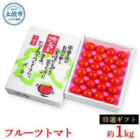 【ふるさと納税】【先行予約】フルーツトマト特選ギフト約1kg ＜2027年1月〜発送＞ / 特Aランク トマト フルーツトマト 池トマト 糖度10度以上 高糖度 高知県産 ギフト 箱入り 贈答用 贈り物 健康【池トマト】[BQAG026][BQAG026]