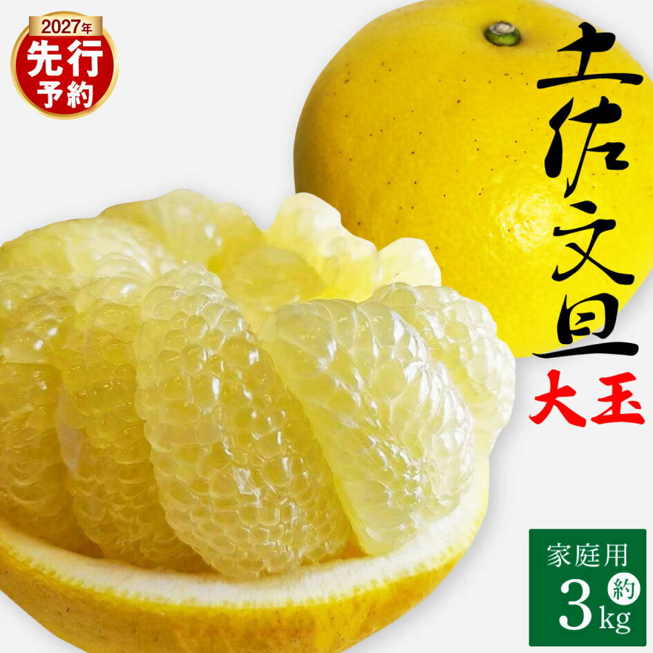 楽天市場 | 高知県土佐市 - 【土佐文旦】先行予約特集