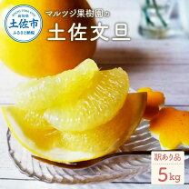 楽天市場】土佐文旦 4lの通販