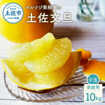 楽天市場】土佐文旦 10kgの通販