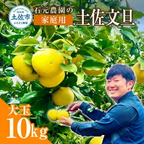 楽天市場】土佐文旦 4lの通販