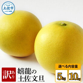 【ふるさと納税】＜2026年1月下旬より順次発送＞ 訳あり 嬉龍の土佐文旦 選べる内容量 約5キロ 10キロ L～4Lサイズ 文旦 ぶんたん ブンタン 柑橘 フルーツ 果物 訳あり 傷 シミ 美味しい 名産 産地直送 高知県産 土佐 高知 ふるさと納税 春 旬 故郷納税 12000円から 土佐市