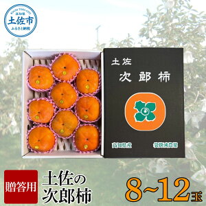 yӂ邳Ɣ[ŁzH̖oIy̑܊|Y`y8`12ʁzypz  JL Â   ʕ t[c 퉷 Mtg 蕨 ̋[ ӂ邳Ƃ̂ ԗi m m 