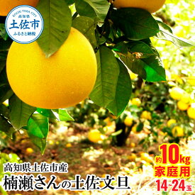 【先行予約】【ふるさと納税】高知県土佐市産 楠瀬さんの土佐文旦 家庭用 約10kg 期間限定 高知 土佐 文旦 ぶんたん ブンタン 柑橘 みかん 果物 10キロ L～4Lサイズ 14～26玉 フルーツ 旬 不揃い ご自宅用 お取り寄せ 常温 高知県 土佐市 ふるさとのうぜい 故郷納税 返礼品