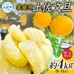 yӂ邳Ɣ[ŁzU 4kg M~LTCY 9~13 Ԃ񂽂 u^ t[c k ݂ ʕ  k fU[g ƒp v[g Mtg  Y 퉷 z ̋[ ӂ邳