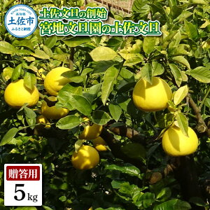 �y�ӂ邳�Ɣ[�Łz�y�����U�̑n�n �{�n���U���̓y�����U �����p2L ��5�L�� 10~12���� 5kg �Ԃ񂽂� �u���^�� �t���[�c ���k �݂��� �ʕ� �������� ���k�� �f�U�[�g �v���[���g �M�t�g ���蕨 