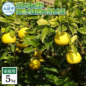 �y�ӂ邳�Ɣ[�Łz�y�����U�̑n�n �{�n���U���̓y�����U �ƒ�p2L ��5�L�� 10~12���� 5kg �Ԃ񂽂� �u���^�� �t���[�c ���k �݂��� �ʕ� �������� ���k�� �f�U�[�g �v���[���g �M�t�g ���蕨 