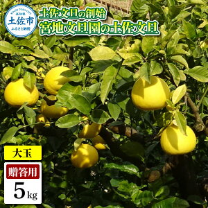 �y�ӂ邳�Ɣ[�Łz�y�����U�̑n�n �{�n���U���̓y�����U �����p3L ��� ��5�L�� 7~9���� 5kg �Ԃ񂽂� �u���^�� �t���[�c ���k �݂��� �ʕ� �������� ���k�� �f�U�[�g �v���[���g �M�t�g ����