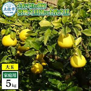 �y�ӂ邳�Ɣ[�Łz�y�����U�̑n�n �{�n���U���̓y�����U �ƒ�p3L ��� ��5�L�� 7~9���� 5kg �Ԃ񂽂� �u���^�� �t���[�c ���k �݂��� �ʕ� �������� ���k�� �f�U�[�g �v���[���g �M�t�g ����