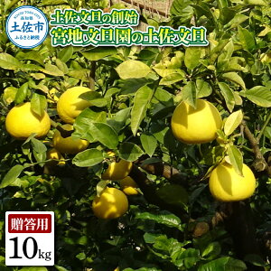 �y�ӂ邳�Ɣ[�Łz�y�����U�̑n�n �{�n���U���̓y�����U �����p2L ��10�L�� 20~22���� 10kg �Ԃ񂽂� �u���^�� �t���[�c ���k �݂��� �ʕ� �������� ���k�� �f�U�[�g �v���[���g �M�t�g ���蕨 