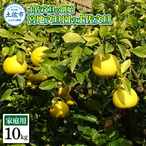 �y�ӂ邳�Ɣ[�Łz�y�����U�̑n�n �{�n���U���̓y�����U �ƒ�p2L ��10�L�� 20~22���� 10kg �Ԃ񂽂� �u���^�� �t���[�c ���k �݂��� �ʕ� �������� ���k�� �f�U�[�g �v���[���g �M�t�g ���蕨 