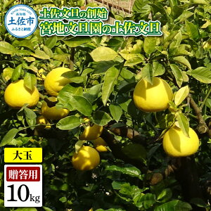 �y�ӂ邳�Ɣ[�Łz�y�����U�̑n�n �{�n���U���̓y�����U �����p3L ��� ��10�L�� 16~19���� 10kg �Ԃ񂽂� �u���^�� �t���[�c ���k �݂��� �ʕ� �������� ���k�� �f�U�[�g �v���[���g �M�t�g ��