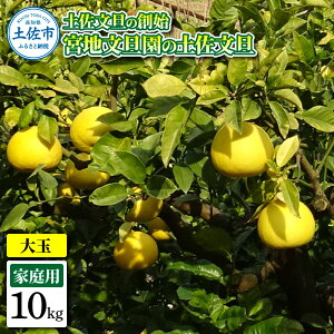 �y�ӂ邳�Ɣ[�Łz�y�����U�̑n�n �{�n���U���̓y�����U �ƒ�p3L ��� ��10�L�� 16~19���� 10kg �Ԃ񂽂� �u���^�� �t���[�c ���k �݂��� �ʕ� �������� ���k�� �f�U�[�g �v���[���g �M�t�g ��