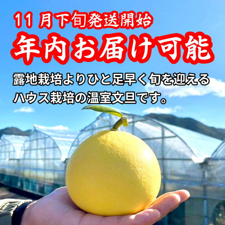 楽天市場】【ふるさと納税】＜土佐文旦の藤岡＞厳選 温室土佐文旦 3kg 