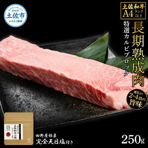 【ふるさと納税】土佐和牛 特選カルビブロック250g 田野屋銀象完全天日塩1P付き 特選 長期熟成肉 田野屋銀象 完全天日塩付き カルビ 牛肉 ブロック 肉 お肉 和牛 国産 牛 熟成肉 ブロック肉