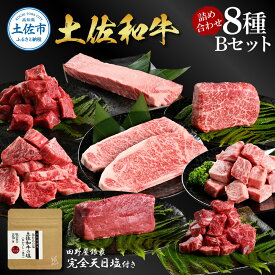 【ふるさと納税】土佐和牛詰め合わせ8種Bセット 長期熟成肉 8種 詰め合わせ 田野屋銀象 完全天日塩付き 牛肉 肉 お肉 和牛 国産 牛 赤身 ヒレ カルビ ロース ブロック サーロイン スネ肉 熟成肉 豪華 贅沢 高知県 土佐市 こうち 返礼品