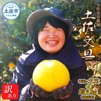 楽天市場】文旦 大玉 訳ありの通販