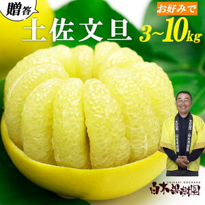 yӂ邳Ɣ[Łz؉ʎs\ yU Iip 3kgE5kgE10kg L`2LTCY Ԃ񂽂 u^ t[c k ݂ ʕ  k fU[g  蕨 v