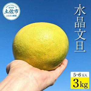yӂ邳Ɣ[ŁzysY U 3kg (5`6ʁjU Ԃ񂽂 u^ 傤Ԃ񂽂 nEX͔| Â  ʕ k t[c ʕ n  3L  Mtg y 