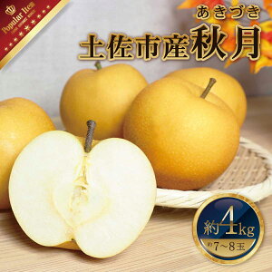 yӂ邳Ɣ[ŁzmysY iHj 4kg 7`8 Ԍ Â Ȃ iV 4L Y t[c ʕ  fU[g XC[c { Â ʏ`Ղ W[V[ 