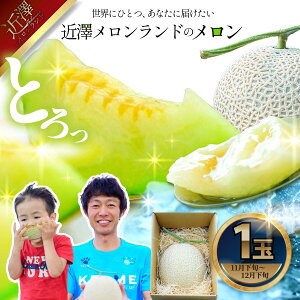 yӂ邳Ɣ[Łzs\  1ʓi1.4kg`1.8kgj 2025N~ Ԍ  ߂ }XN rZ ʕ  t[c fU[g { nEX͔| 퉷z ̋[ 