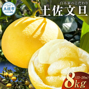 yӂ邳Ɣ[Łz؉Ƃ̂yU In U 8kg 13~20 L~3LTCY Ԃ񂽂 u^ ʕ k t[c  Yi  mY Mtg i 蕨 