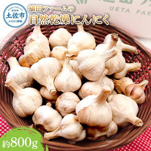 yӂ邳Ɣ[ŁzAct@[̎Rɂɂ800g 800O jjN K[bN ܂   ݖЂ K[bNIC yy`[m pX^ XpQbeB Xe[L _ 